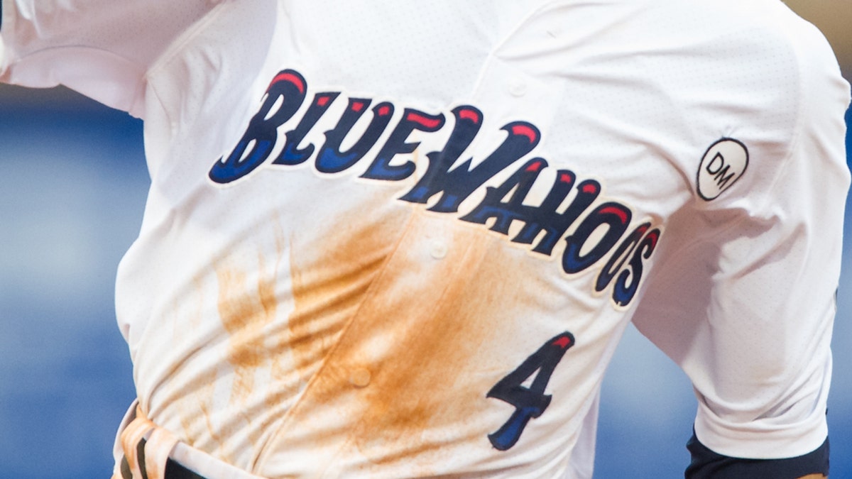 Blue Wahoos logo