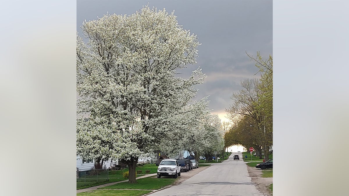 Scenery in Illinois