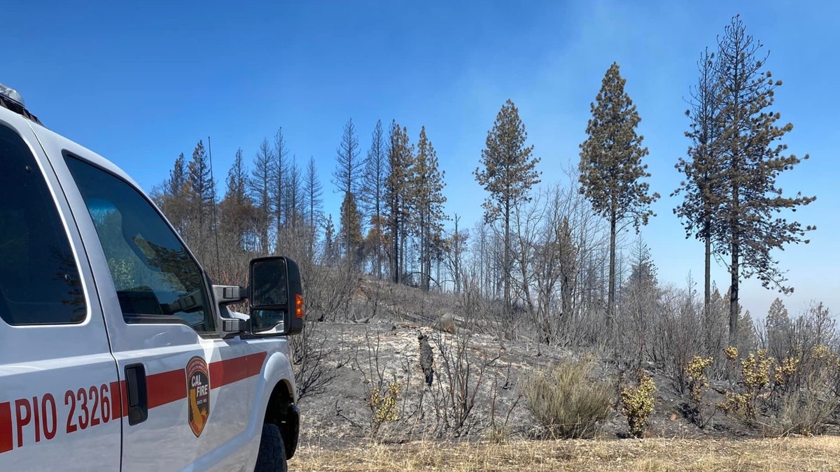Nevada County
