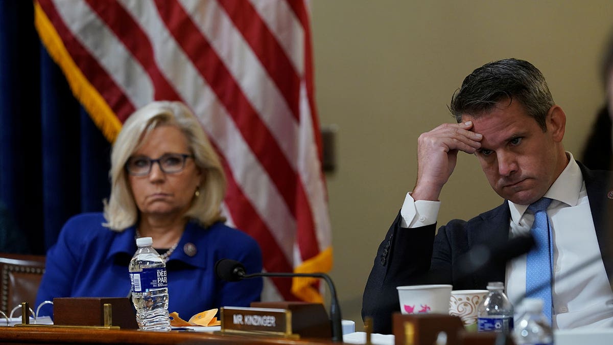 Liz Cheney and Adam Kinzinger on the dais of a committee room.