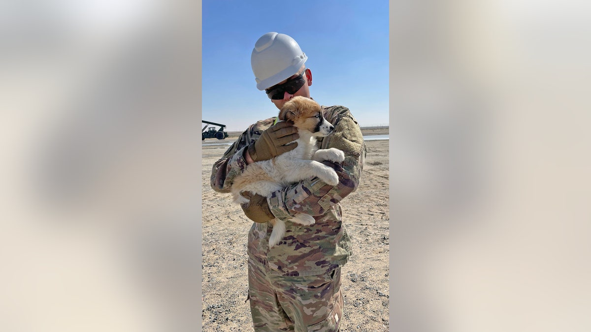 Soldier holds puppy in middle east