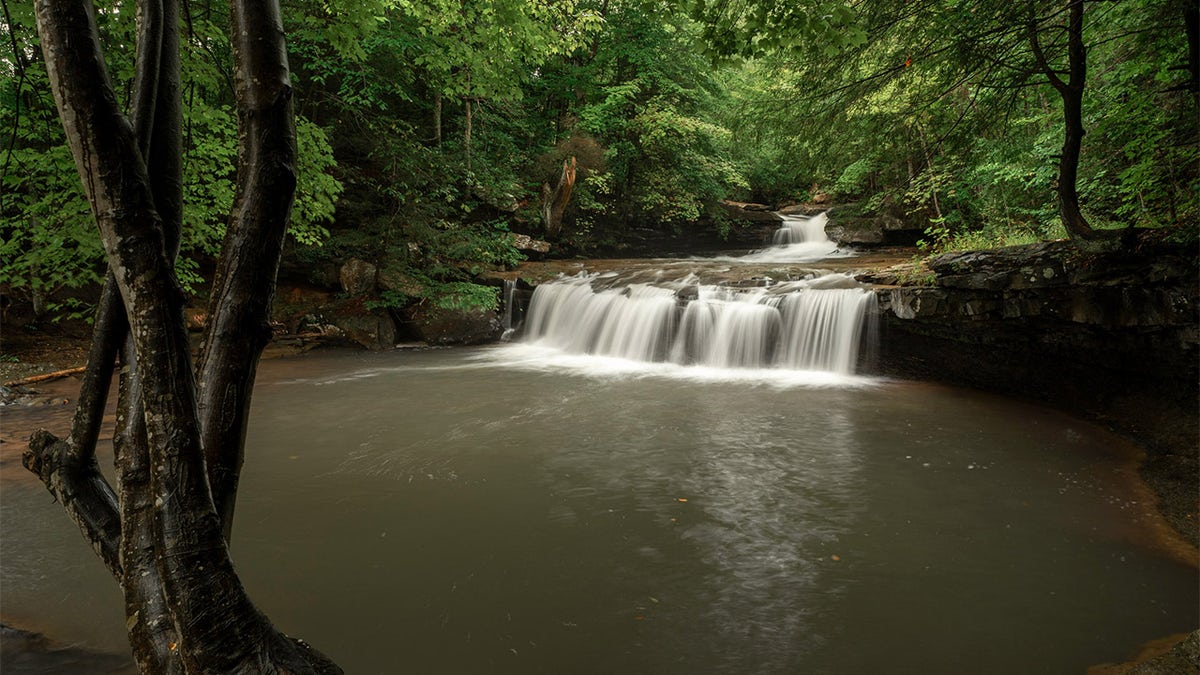 Drawdy Falls, West Virginia