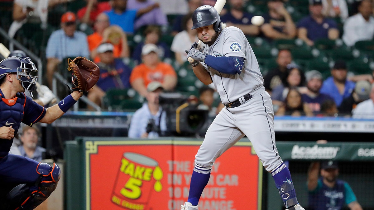 Un-bee-lievable: Bee swarm delays Astros' 7-2 win - The San Diego  Union-Tribune