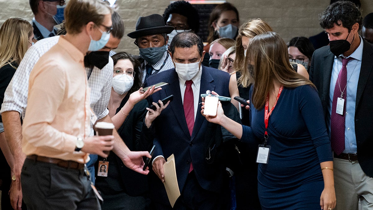 Henry Cuellar speaks to reporters