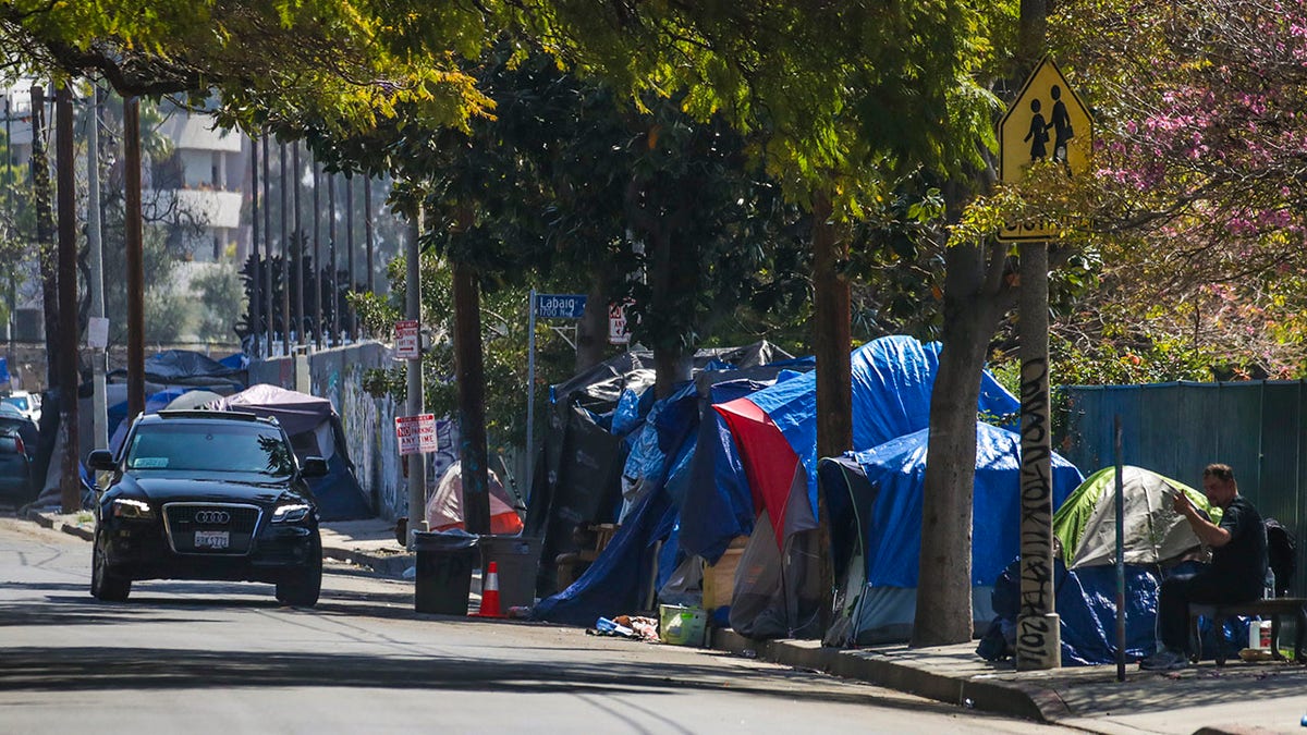 Homeless tents line Los Angeles sidewalk