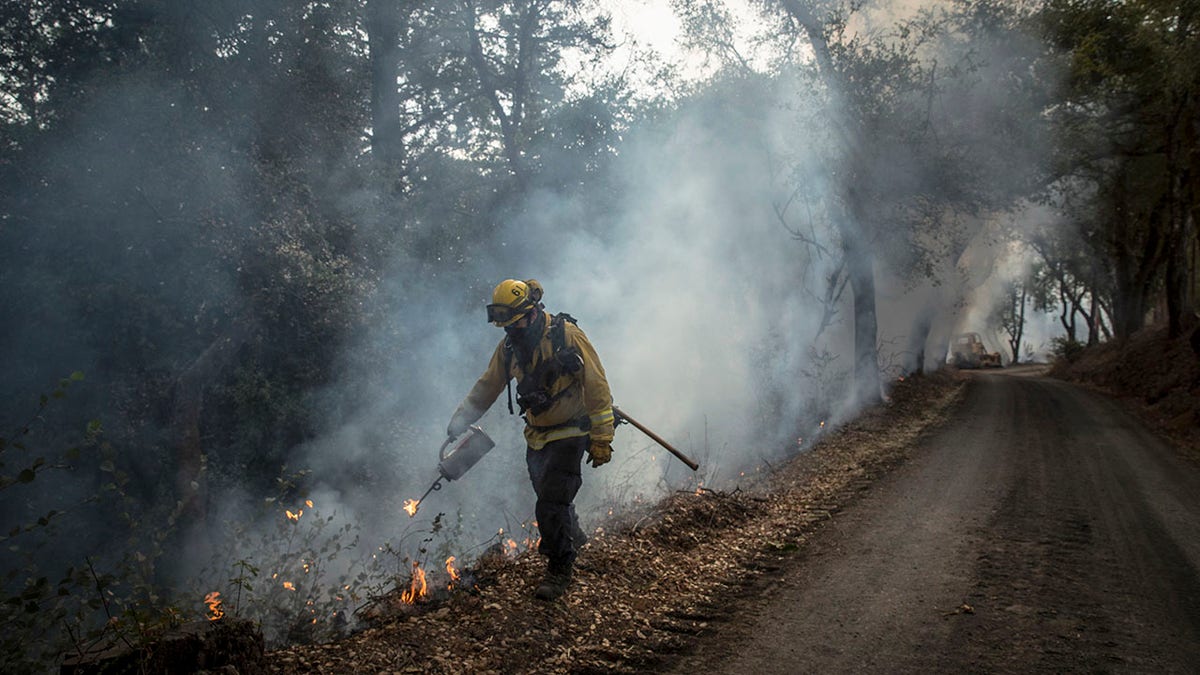 California firefighters puts out brush fire 