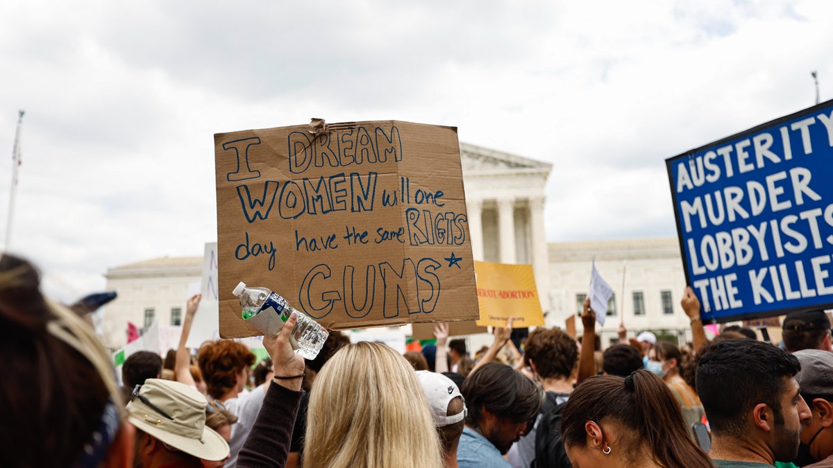 A sign reads, 'I dream women will one day have the same rights as guns.'