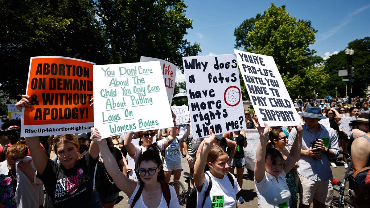Supreme Court protesters