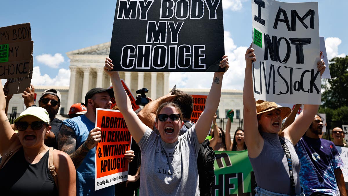 A woman holds a sign reading, 'My Body My Choice'