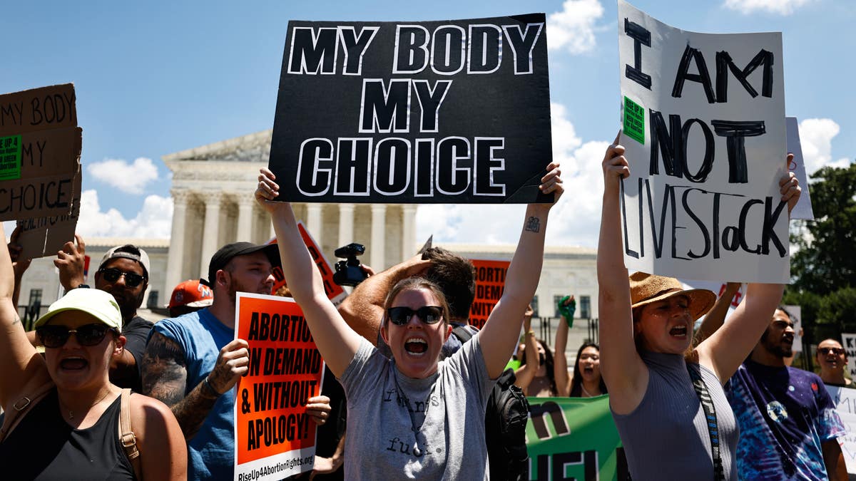 A woman holds a sign reading, 'My Body My Choice'