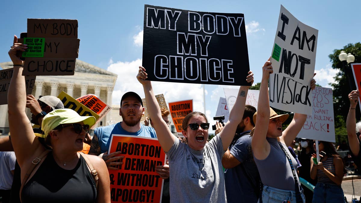A woman holds a pro-choice sign