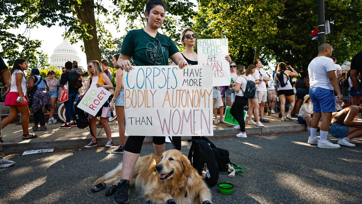 Pro-choice protester