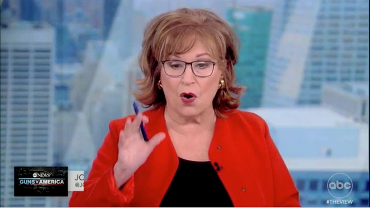 Joy Behar The View