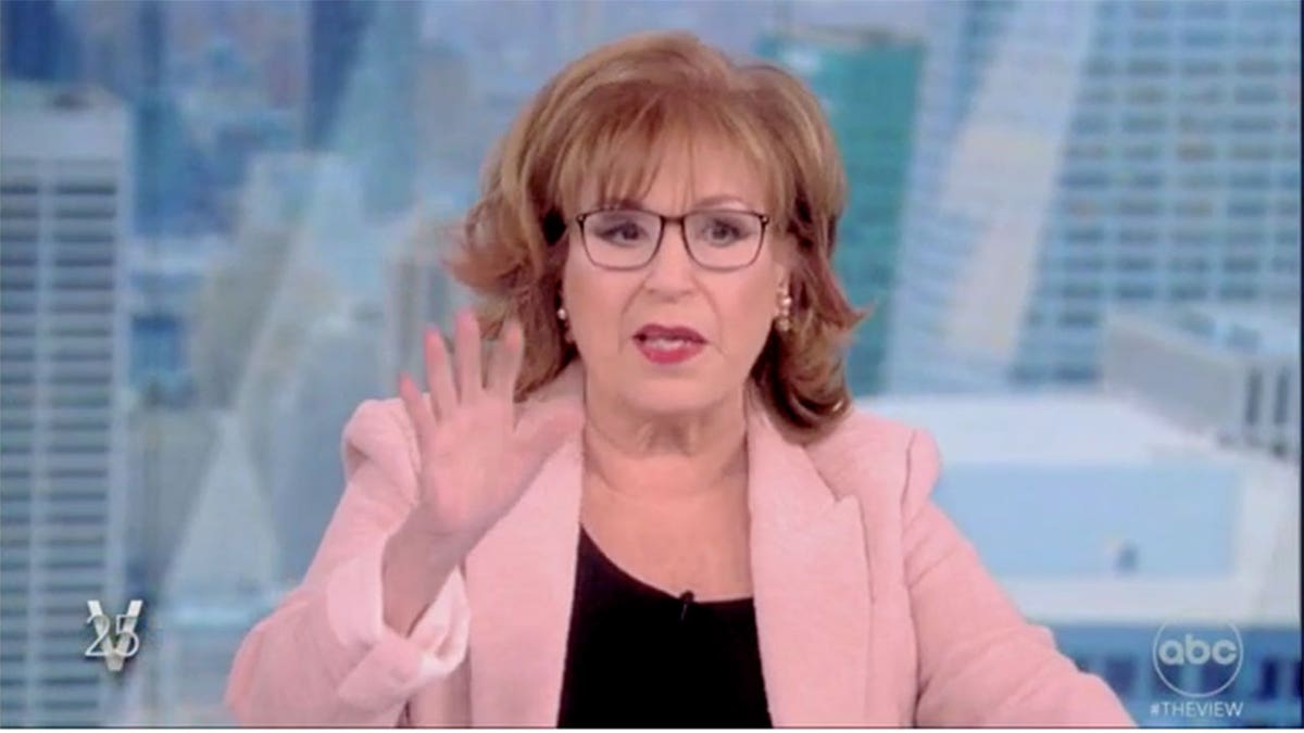 Joy Behar The View