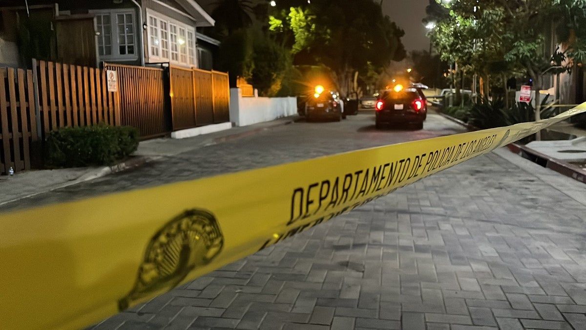 Los Angeles Hollywood murders