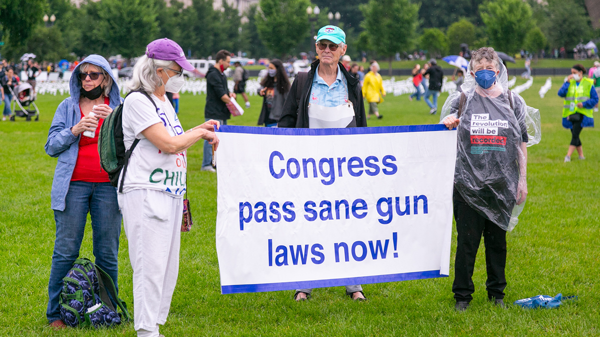 Demonstrators hold a sign reading "Congress, pass sane gun laws now"