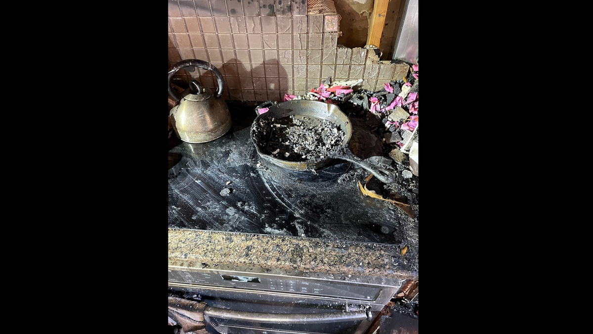 Parkville, Missouri, dog sets home on fire, burned-out stove