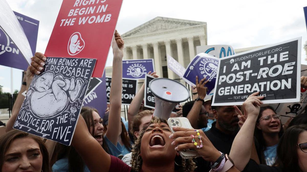 Pro-life activists at Supreme Court 