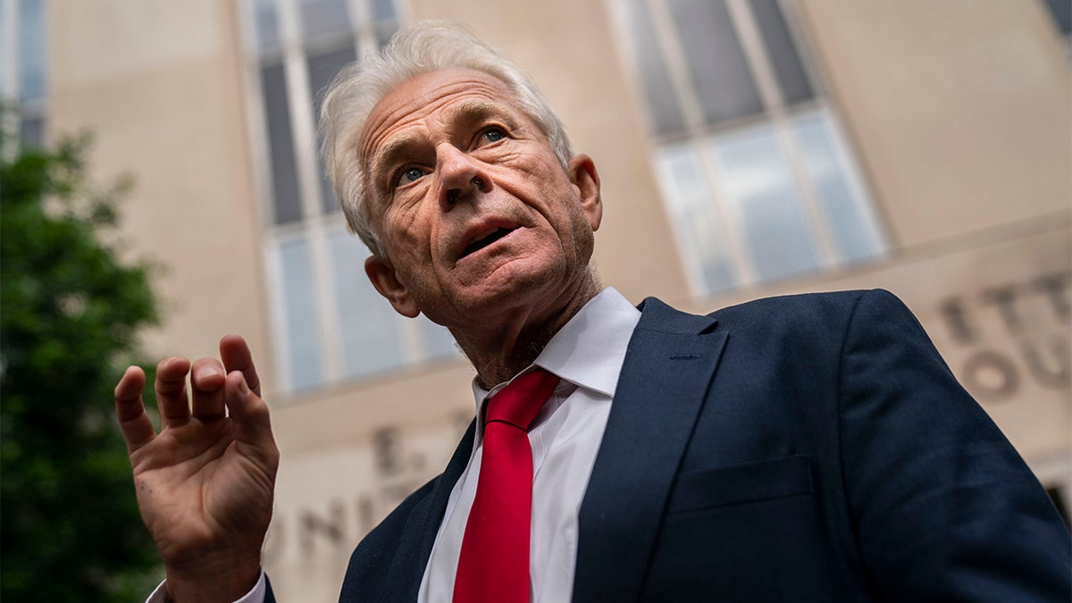 Former White House adviser Peter Navarro has pleaded not guilty to contempt of Congress charges
