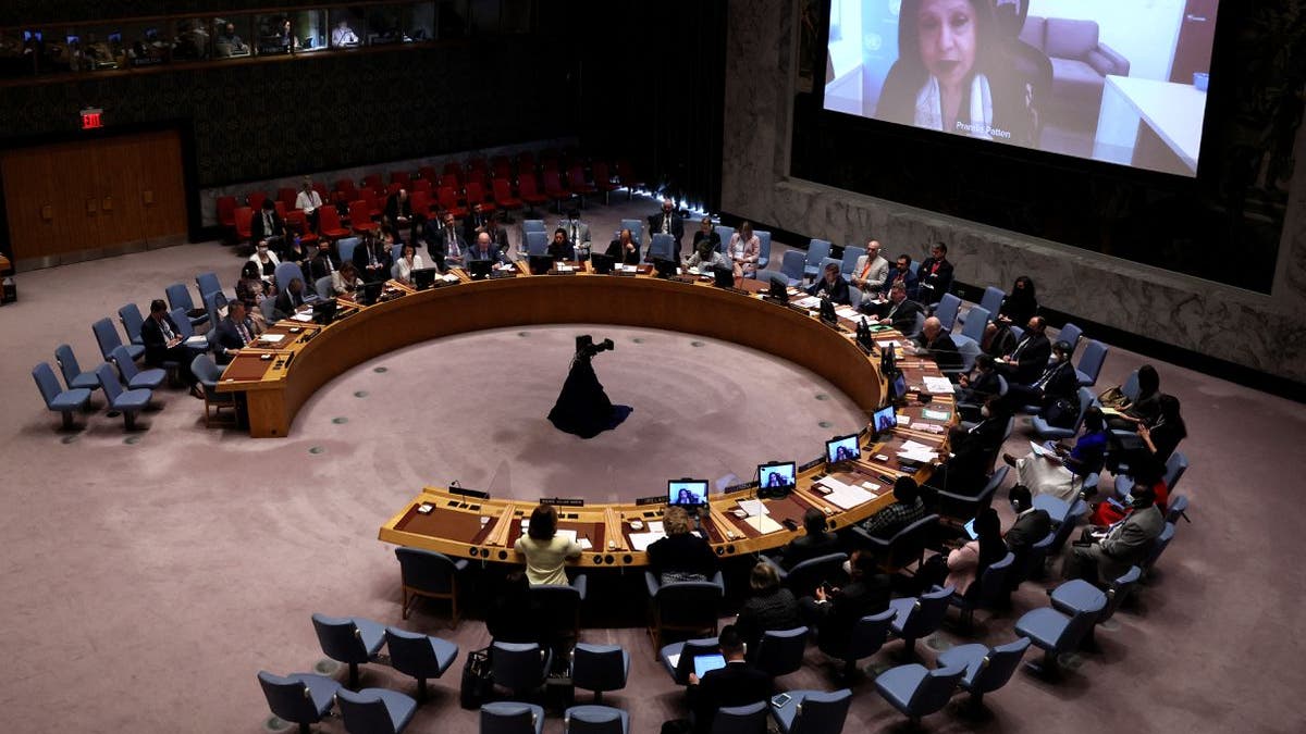 United Nations June 6 Security Council meeting on Ukraine