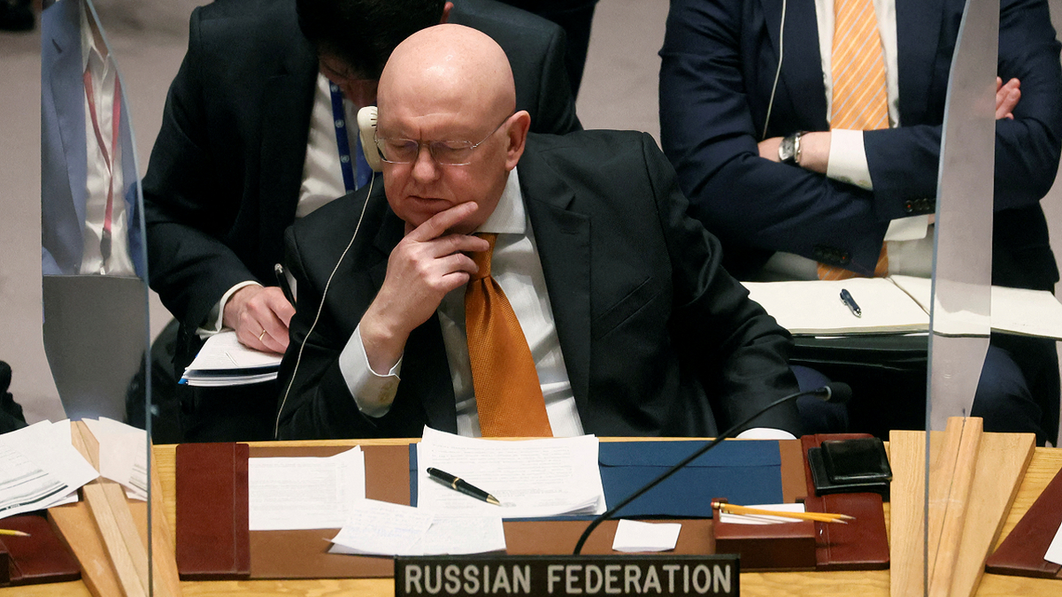 Russia U.N. Diplomat Security Council meeting