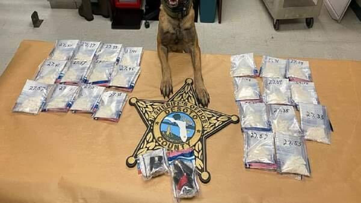 FLORIDA WOMAN TRIES TO SMUGGLE DRUGS INTO JAIL - K9