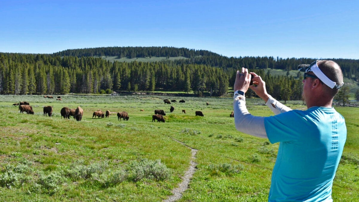 Parks Wyoming