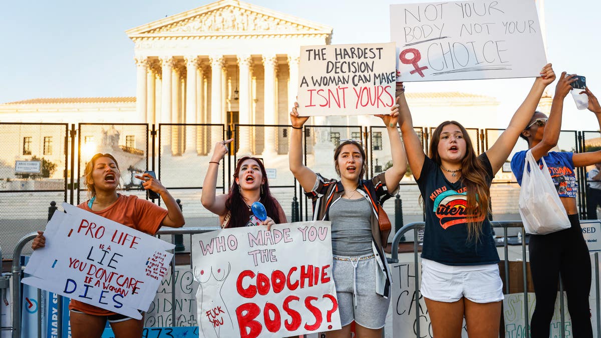 Pro-choice protesters