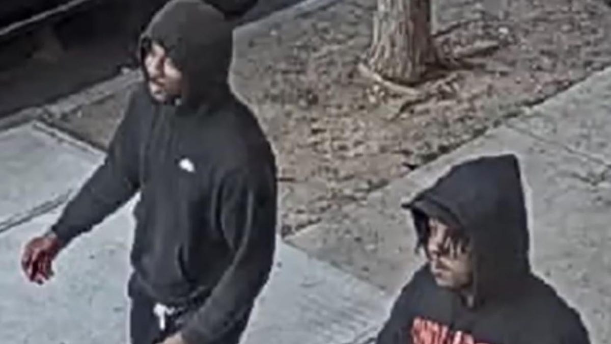 Brooklyn assault suspects
