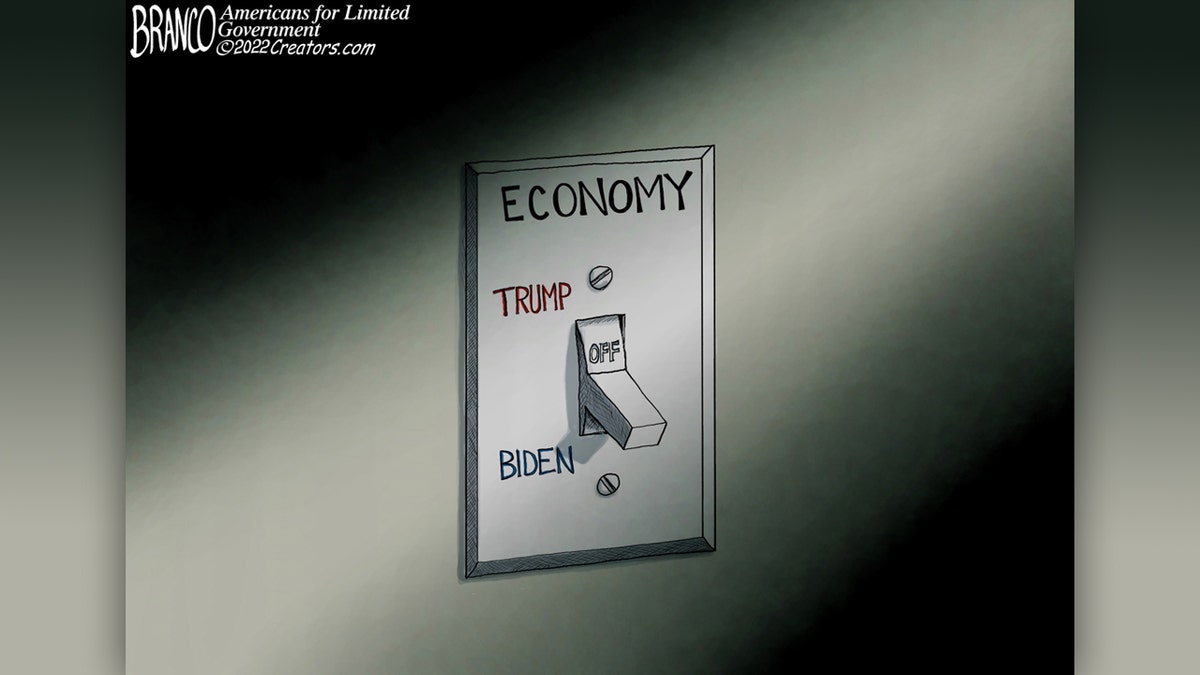 Political Cartoon: In the Dark