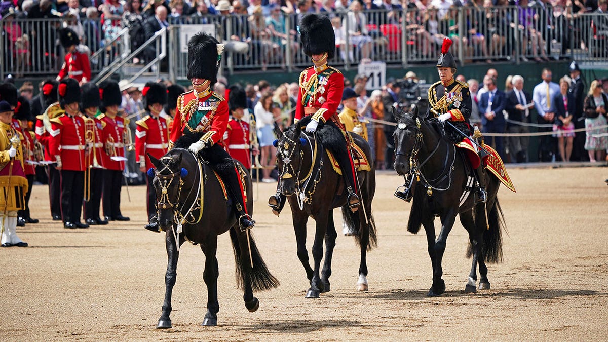 Prince Charles, William, and Princess Anne during Jubilee