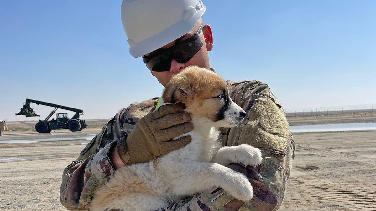 puppy in arms of US soldier