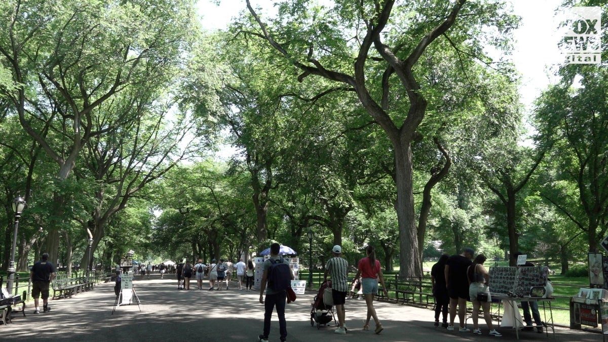 Central Park visitors ahead of Father's Day weekend