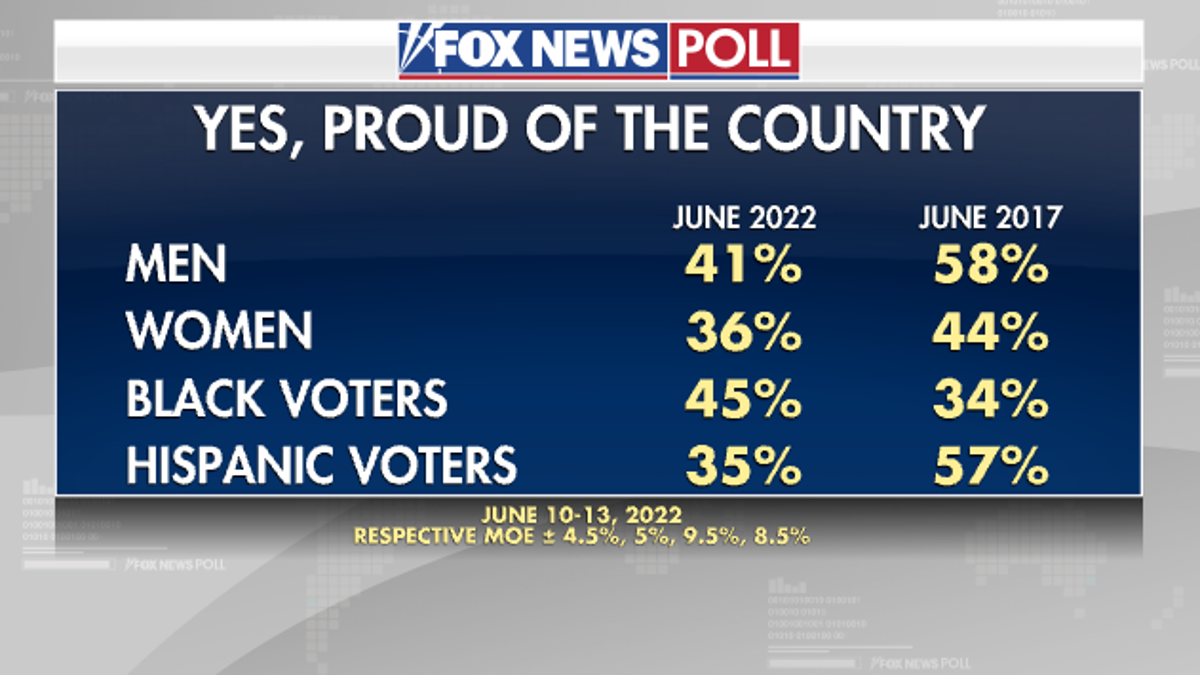 American pride demographic