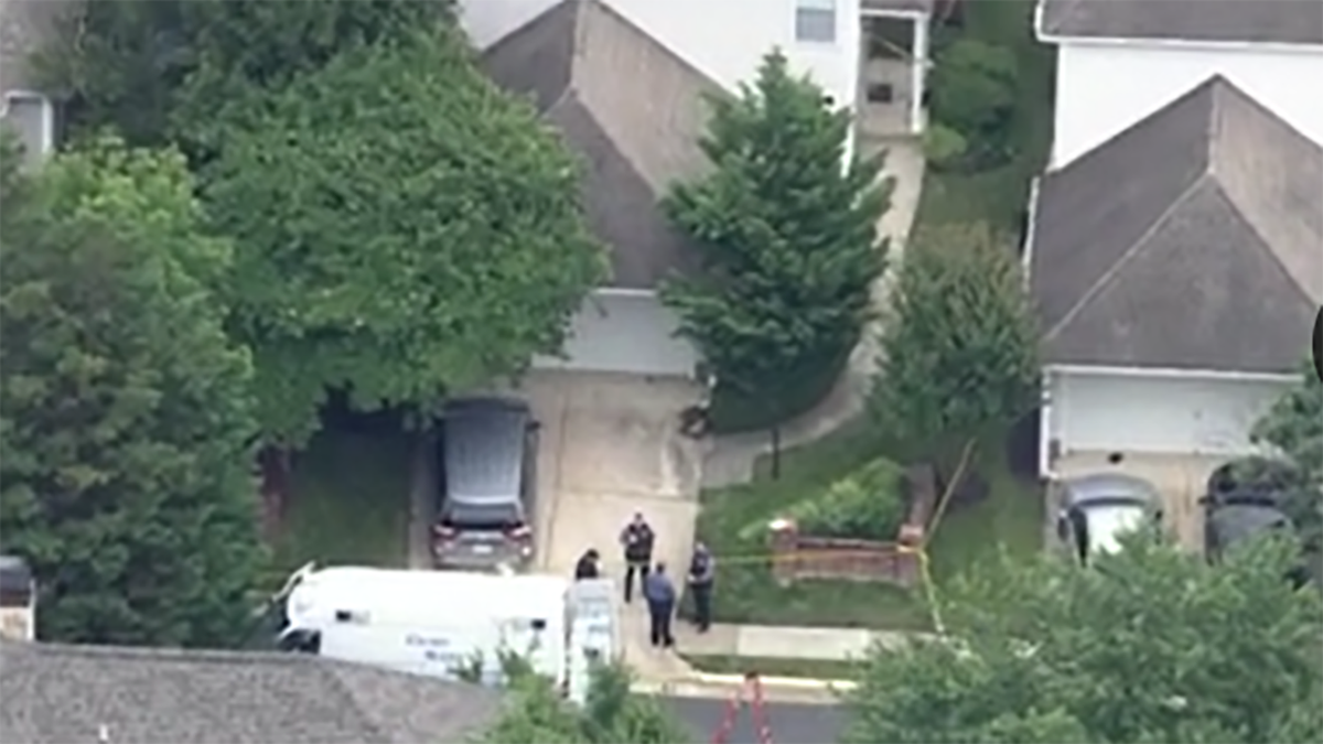 Aerial view of Fairfax home where DC non-profit founder shot