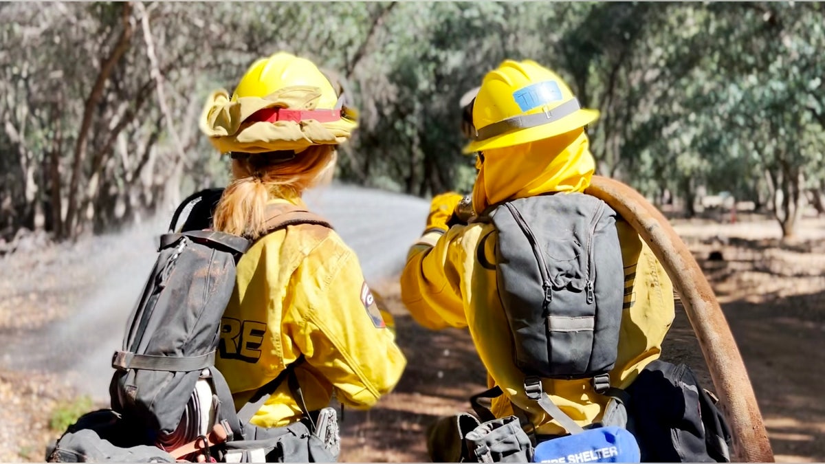 Training on wildfires