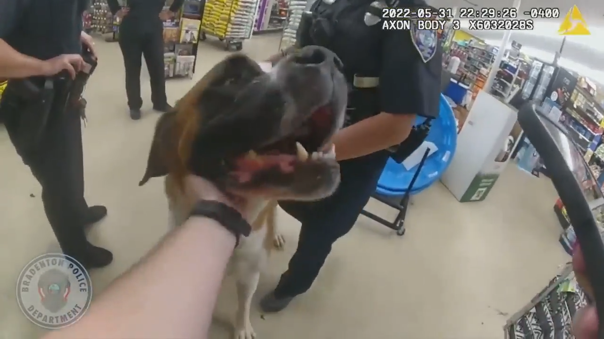 Police pet dog in store