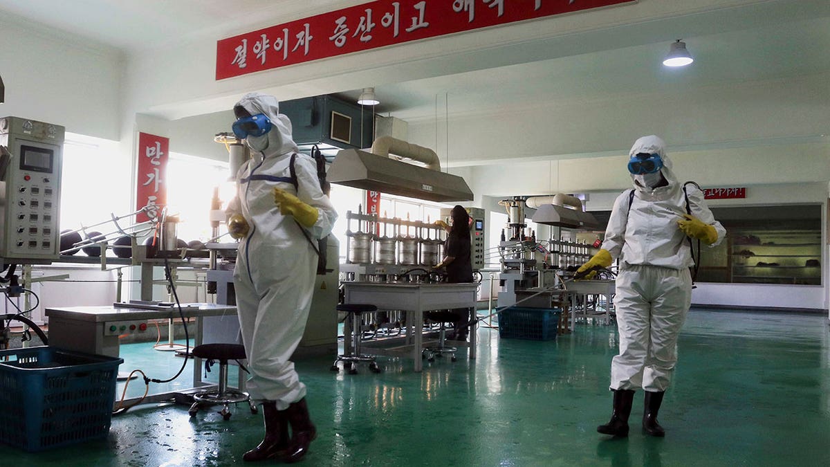 Health officials in North Korea