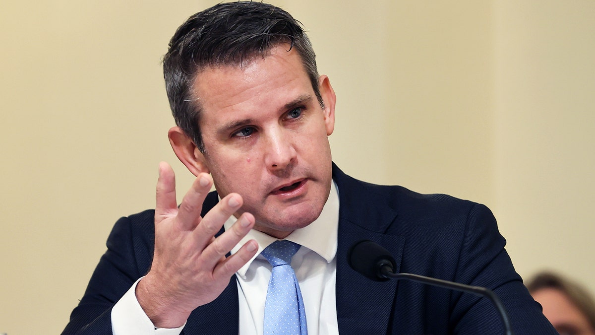 Adam Kinzinger, Jan. 6 Committee