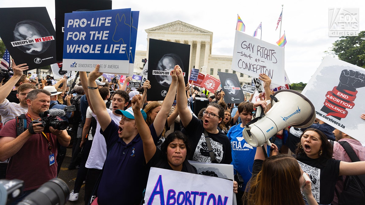 Protesters at a pro-life demonstration
