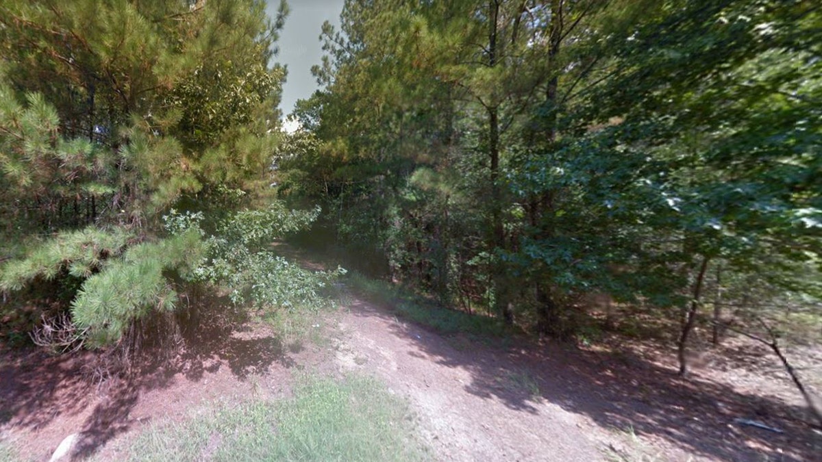 Roman Forest Texas dead bodies