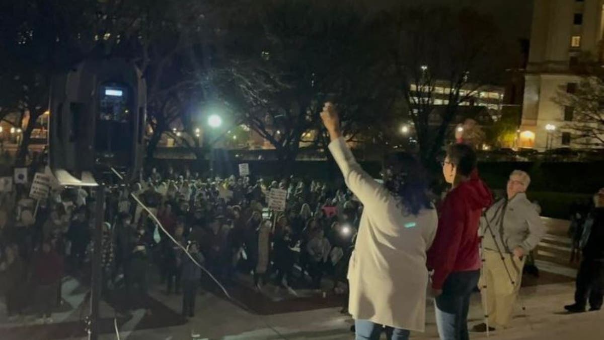 Jennifer Rourke speaking at rally