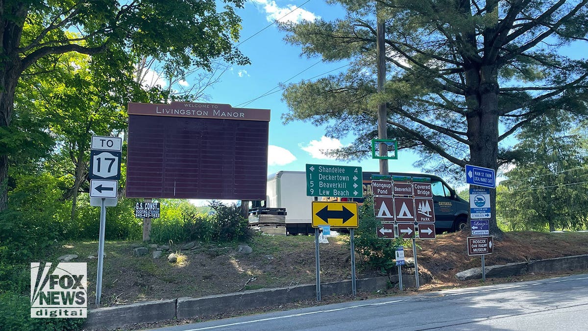 Livingston Manor road signs