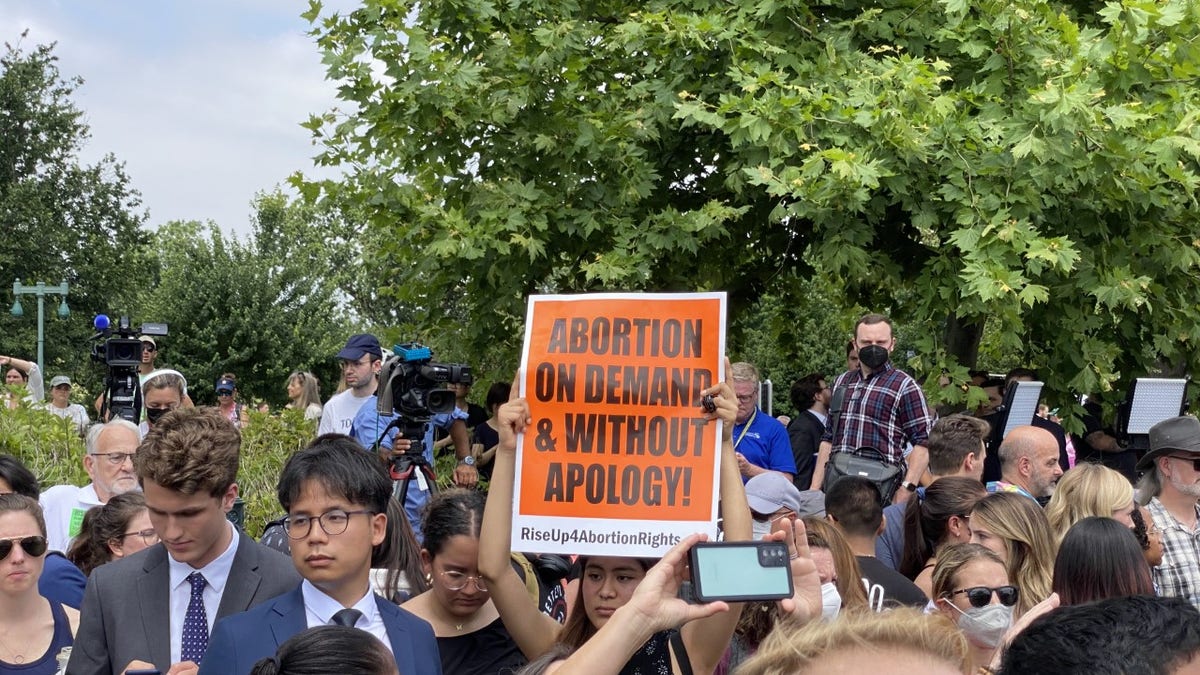 abortion rights protester holds up sign in crowd