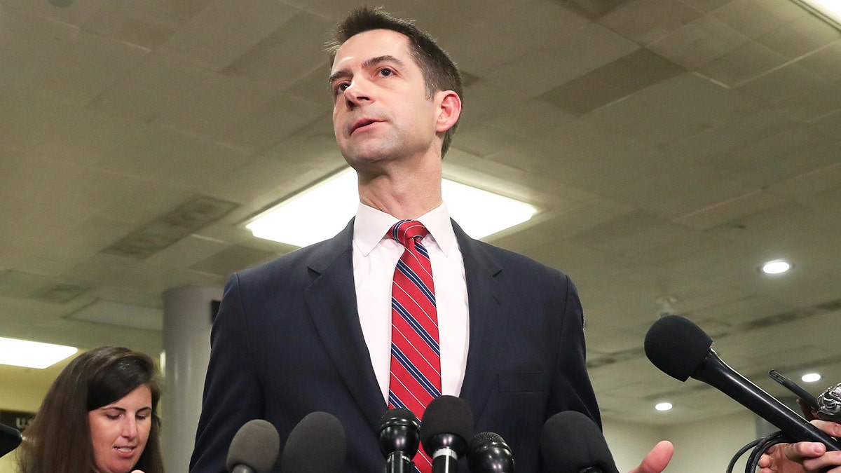 Sen. Tom Cotton, R-Ark, speaks to the media at the U.S. Capitol on Jan. 8, 2020 in Washington, D.C.