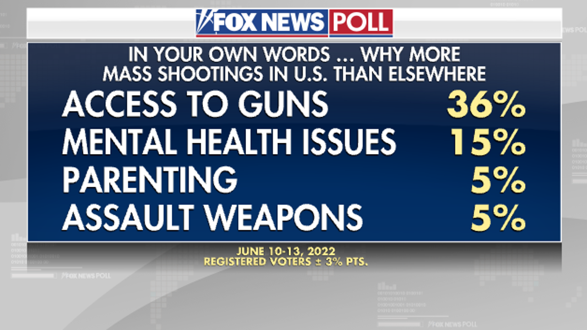 Reason Gun Violence Poll