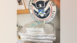 CBP Drugs