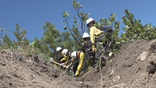 Wildland firefighters training to combat national shortage
