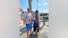 Texas fisherman spears 137-pound fish that could break world record