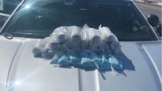 Colorado fentanyl seizures this year already surpass all of last year, authorities say